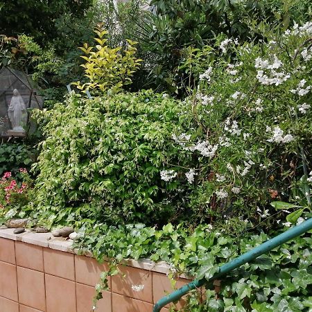 Il Giardino Della Nonna Apartment Alberobello Exterior photo